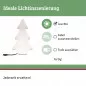 Preview: Paulmann 94185 Plug&Shine Lichtobjekt Tree IP67 3000K 24V
