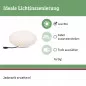 Preview: Paulmann 94176 Plug&Shine Lichtobjekt Stone IP67 3000K 24V Durchmesser 35cm