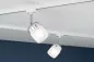 Preview: Paulmann 95343 URail Spot Blossom Weiß Klar-/Satinglas ohne Leuchtmittel, max. 10W G9